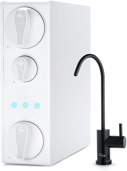 Best Tankless iSpring